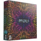 Amygdala